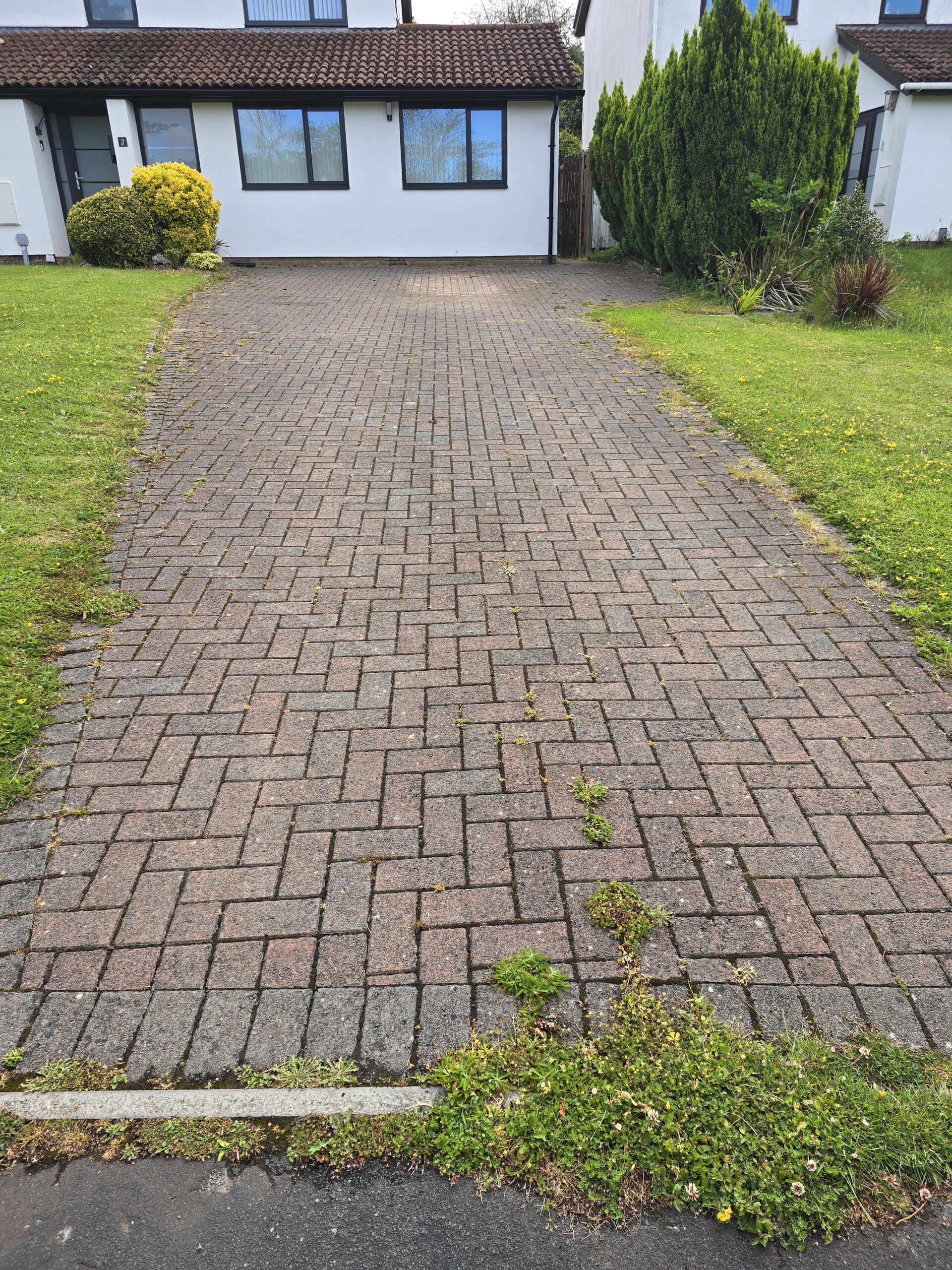 Driveway before pressure washing