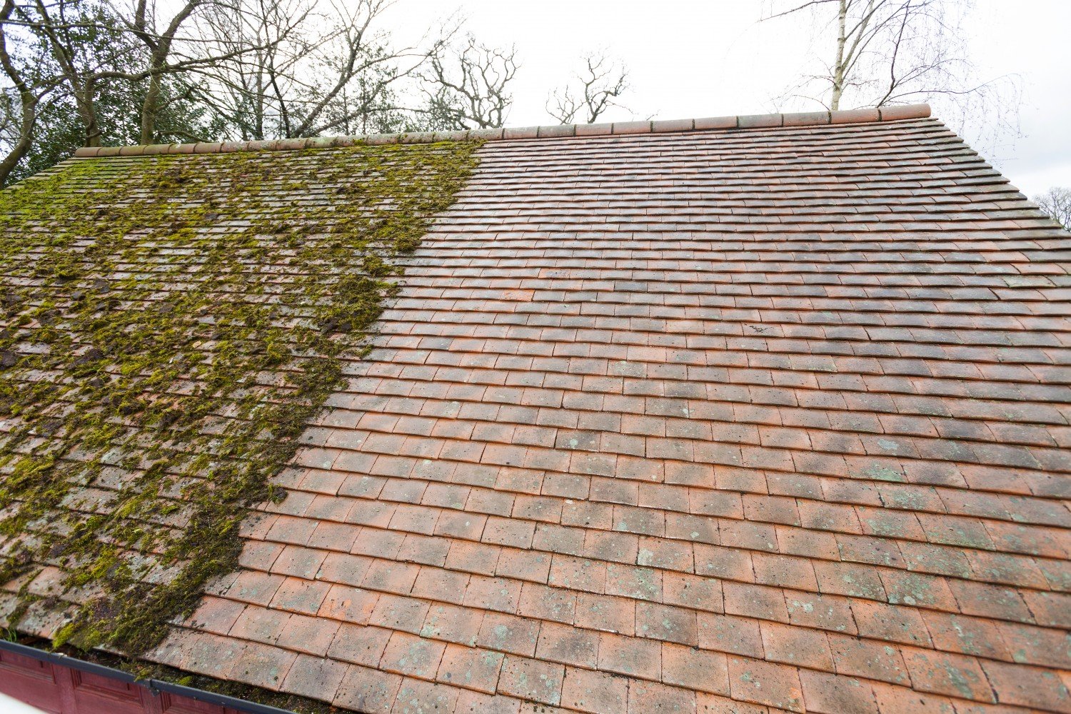 Roof cleaning in progress showing moss on one side and clean tiles on the other